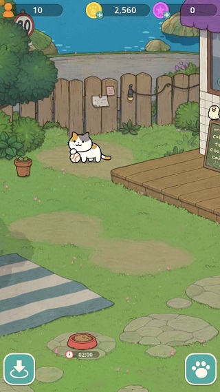 神秘猫咪字典破解版图3