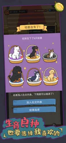 狗生模拟器手机版图5