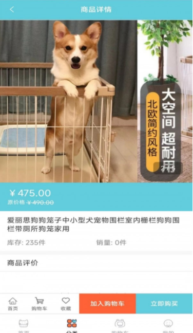 宠粉安卓版图2