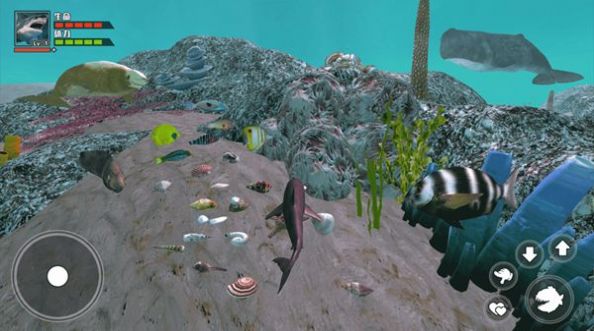 海底大求生手机版图1