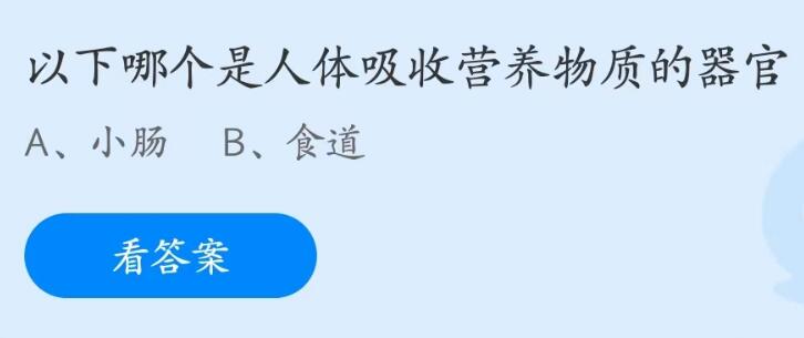 以下哪个是人体吸收营养物质的器官