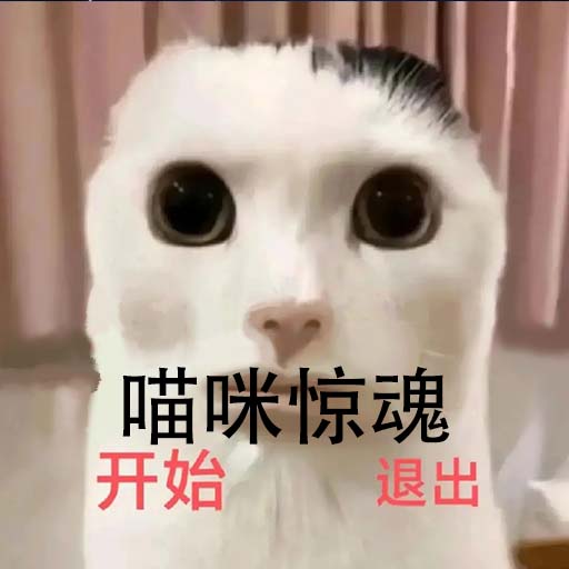 猫里奥大闯关安装包