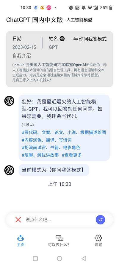 ChatGPT中文最新版截图1