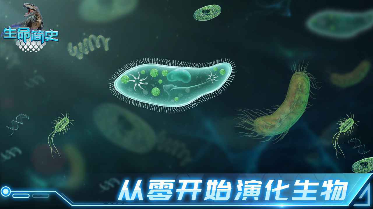 生命简史最新版