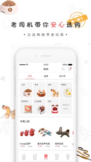 狗狗去哪儿图1