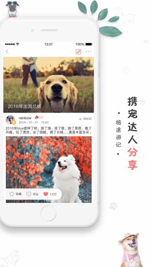 狗狗去哪儿图4