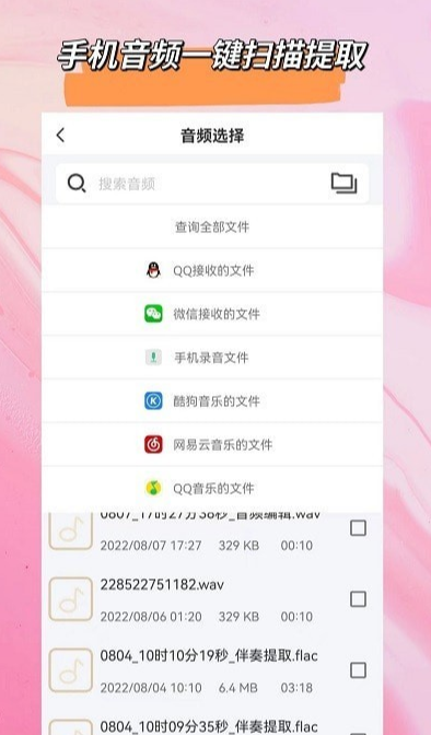 音频格式大师截图3