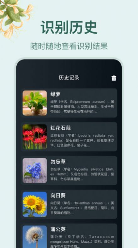 花草百科识别图3