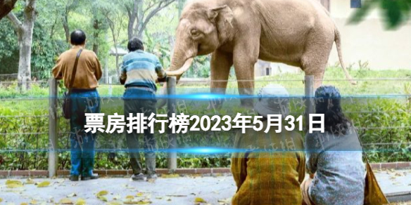 票房排行榜2023年5月31日 2023.5.31电影票房排行榜