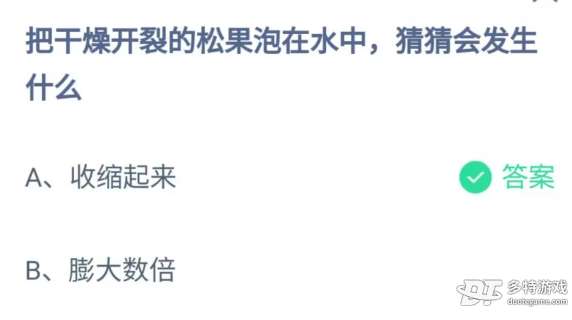 把干燥开裂的松果泡在水中猜猜会发生什么 蚂蚁庄园今日答案最新6.3