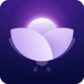 金小鹅app官方版