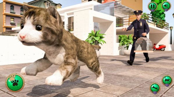 非常宠物猫模拟器手机版图1
