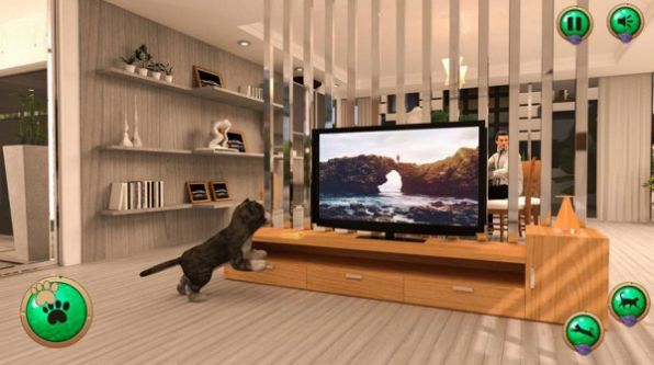 非常宠物猫模拟器手机版图3