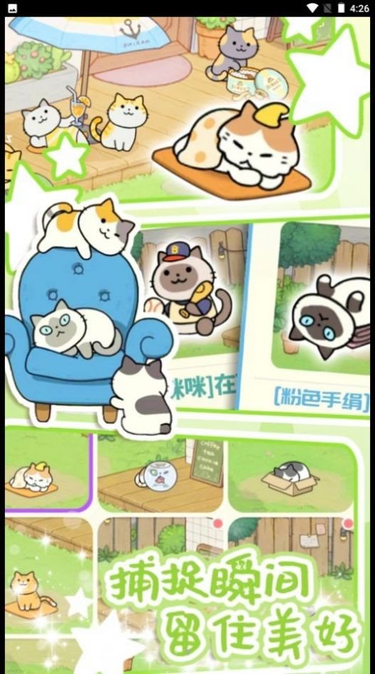 地铁遇见猫截图3