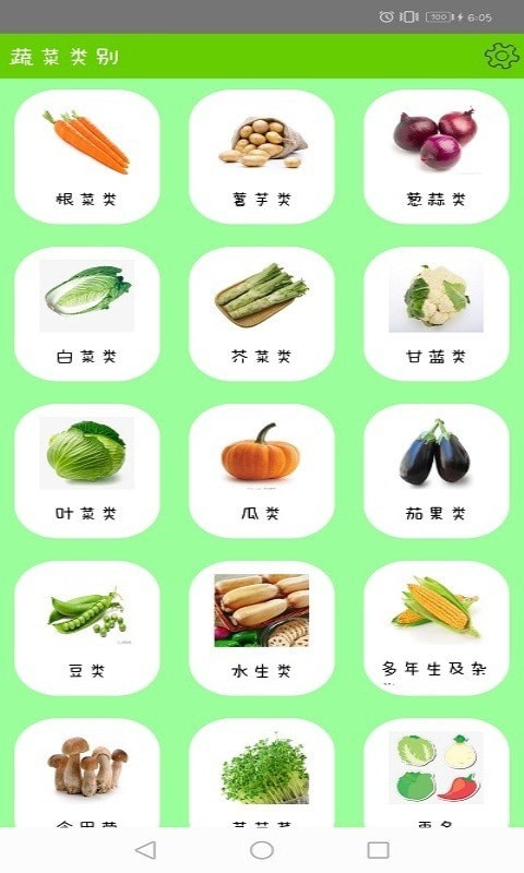 健康绿蔬图3
