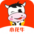 小花牛app手机版