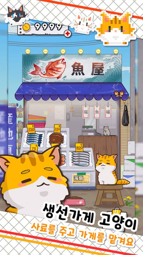 鱼店猫老板图3