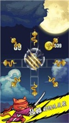 神秘猫大湿图3