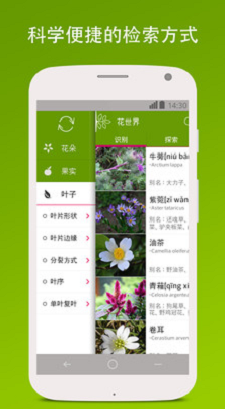 花世界安卓版图1