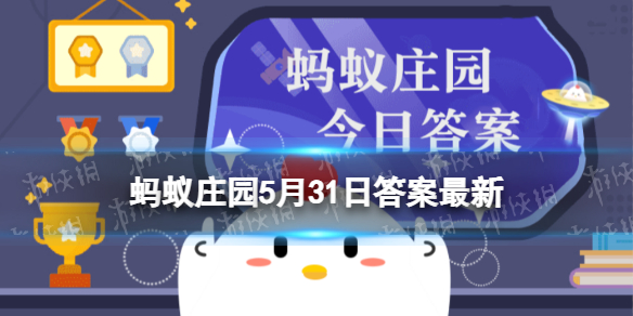 人体吸收营养物质的器官是哪里 蚂蚁庄园小肠食道5.31答案最新