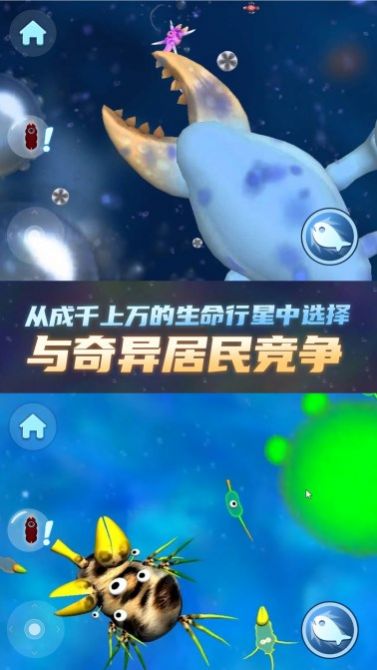物种进化器图3