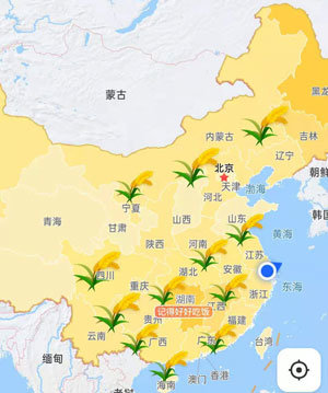 高德地图安卓版图1