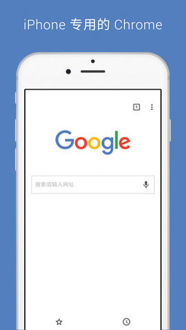 Chrome浏览器图1