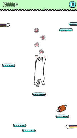 空中猫咪图2