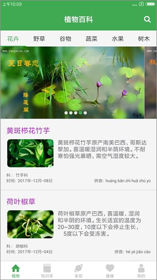 植物百科图1