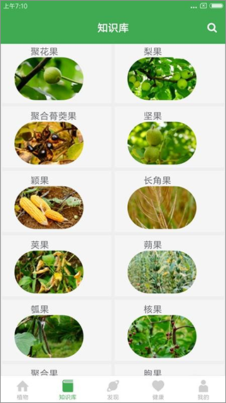 植物百科图2