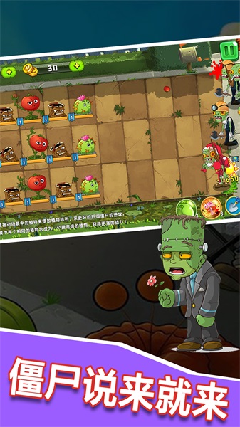 植物僵尸大作战图5