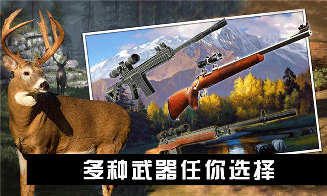 动物世界激战图4