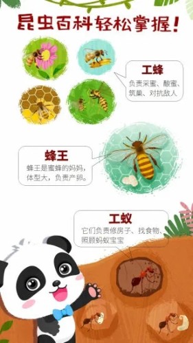 奇妙昆虫世界图4