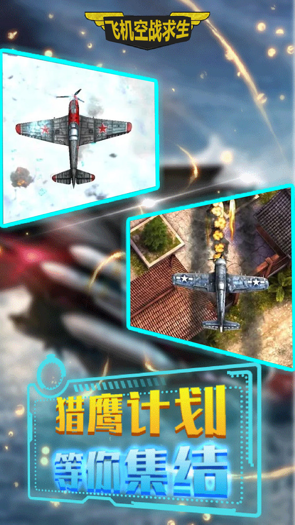 飞机空战求生图2