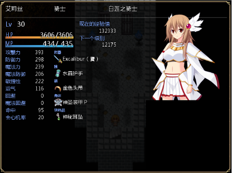 圣装女骑士图2
