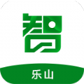 智游乐山app官网版