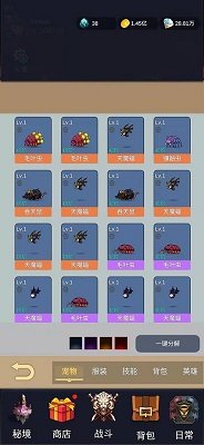 勇者圣殿手机版图1