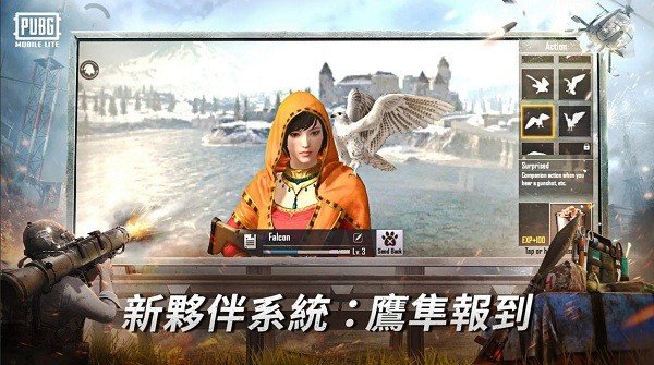 PUBGMOBILE国际服手游安卓版图2