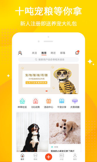 犬易app安卓版图1