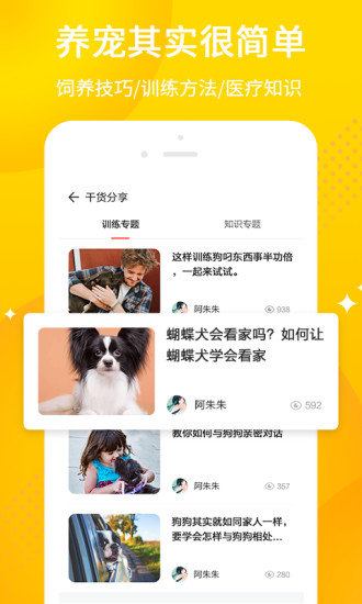 犬易app安卓版图2