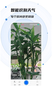 萌新相机管家图3