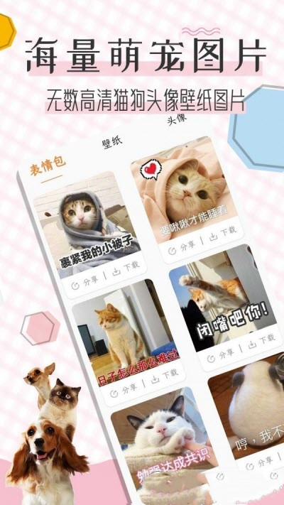 猫语翻译宝手机版图1