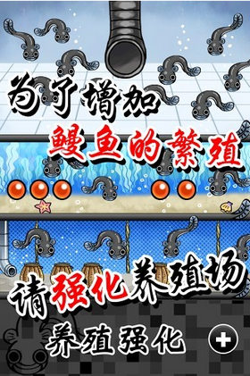 鳗鱼养殖场图2