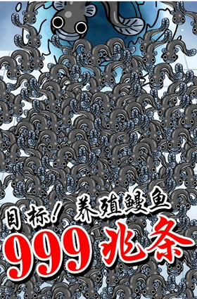 鳗鱼养殖场图3