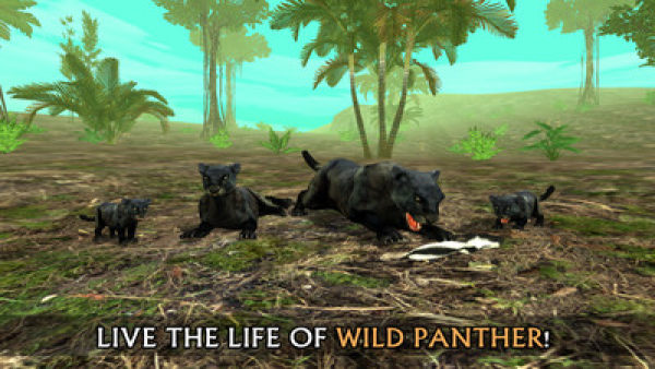 黑豹模拟器无限经验版(panthersim)图3