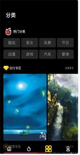 动态主题壁纸大全app最新版