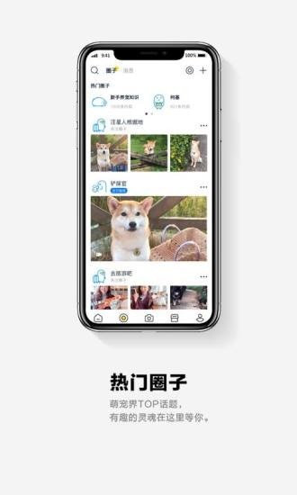 它福APP官方版安卓版图1