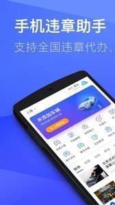 12123查违章图3