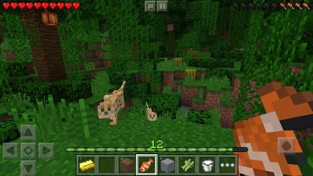 我的世界1.13国际版（Minecraft）图3