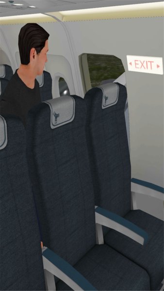 空难模拟器图1